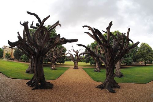 blondebrainpower:  Sculpture by Ai Weiwei: “Trees”Sculpture