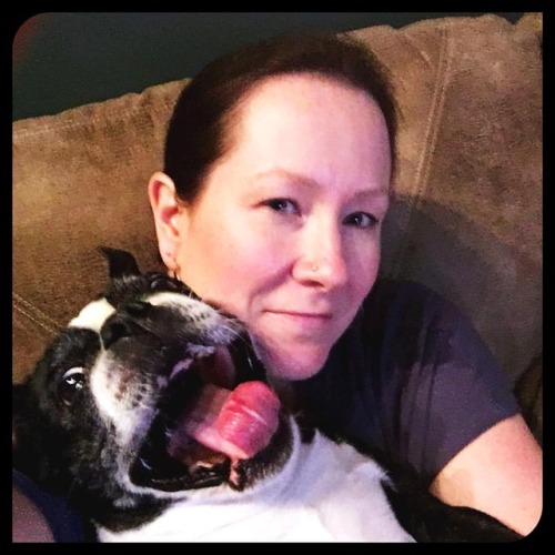<p>I’m not sure what to tell you. #bostonterrier #bostonterriersofinstagram #workingfromhome  (at Fiddlestar)</p>