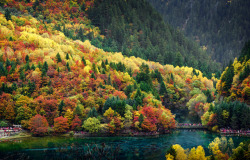 drxgonfly:Autumn Colors (by  David Dai)