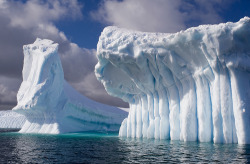 Nature’s artistry (icebergs in the North Atlantic)