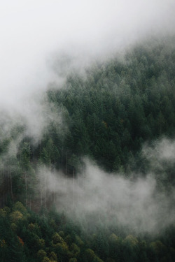 natureac:  This blog will make you feel at peace
