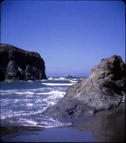 twoseparatecoursesmeet:  Oregon Beach, 1950s Bruce Thomas 