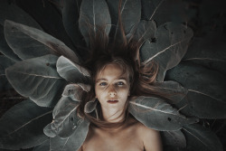 by alessio albi