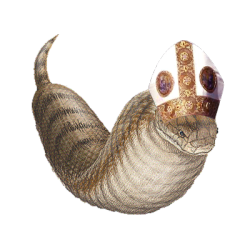 picsthatmakeyougotsuchinokoreal:  citycows: Pope Tsuchinoko Real