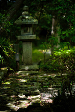 dreamsforyesterday:  Quiet path in Japanese Garden by Blue HazeG