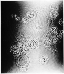 10 hoscos: Adam Fuss. water drops