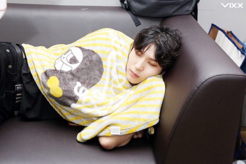 me sleeping soundly at night thinking about how much vixx loves starlights & how much starlights loves vixx