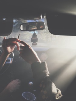 fastestslothalive:  killaswank.tumblr.com
