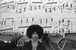 Prince Roger Nelson - Minneapolis, 1977