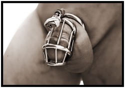 chastitychronicles:  ratemychastitycage:  Rated 4 Stars  http://chastitychronicles.tumblr.com/