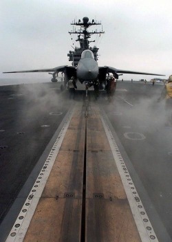 rocketman-inc:  F-14 Tomcat