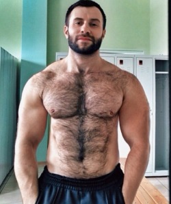 internationalhairymensclub:  abu dabi  hell yes….anytime..