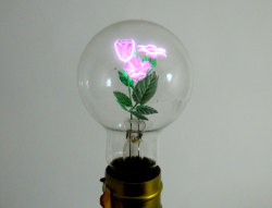 flutedsleeves: 1940s aerolux neon flower lightbulb