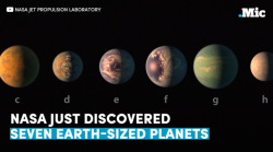 the-future-now:  According to NASA, a neighboring star has 7