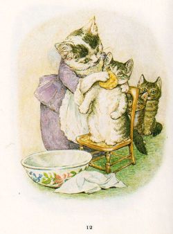 windypoplarsroom:  Beatrix Potter “The Tale of Tom Kitten”