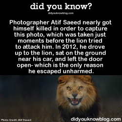 madculos:  did-you-kno:  Photographer Atif Saeed nearly got himself