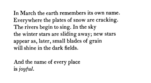 syringavulgaris:Mary Oliver, Worm Moon