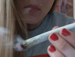 damnnlyssa:  brndns-baked:  Blazing  @smokemedicalmarijuana 