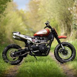 bikebound:  T100 Scrambler by Triumph St-Lo, featured on cafe-racer.fr.