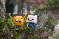 Spotted: Finn and Jake scouting space for a second treehouse?