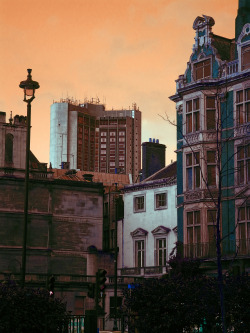 scavengedluxury:North from Green Park. London, Jan 2014.