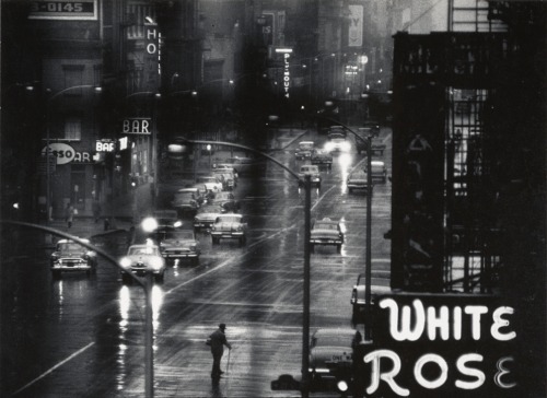 attropin:  White Rose Bar sign from the 4th floor window of 821
