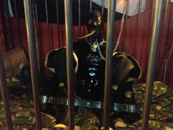  kazukiwolf:  PupKodiak the unfortunate victim of RopeWolf getting