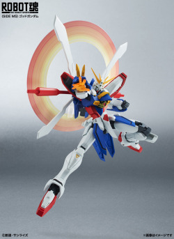 suribot:  Tamashii Nations Pick-Ups SHF Akaranger, SHF Biorider