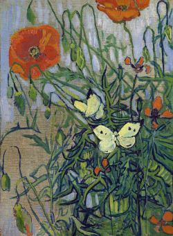 lonequixote:    Butterflies and Poppies by Vincent van Gogh(via