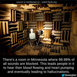 mindblowingfactz:    There’s a room in Minnesota where 99.99%