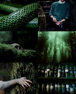 chaotic-aesthetic-stuff:    Slytherin aquarius male aesthetic