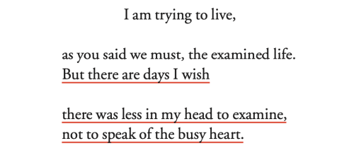 weltenwellen: Mary Oliver, from “ Percy (Nine)”, Truro Bear