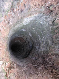 salainen:  tumblethesenotes:  yeevil:  snowystarfleet:  queeraoke:  candiedmoon:  hellyeacreepyshit:  raltar:  A strange phenomena is happening in some Russian forests. People are finding strange, deep holes. They appear in the dense forest, in the places