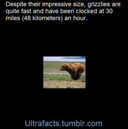 sailoryue:  ultrafacts:  (Fact Source)Follow Ultrafacts for more