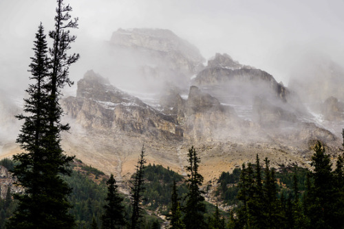 sitting-on-me-bum:    Rainy day in Banff National Park    Photographer: