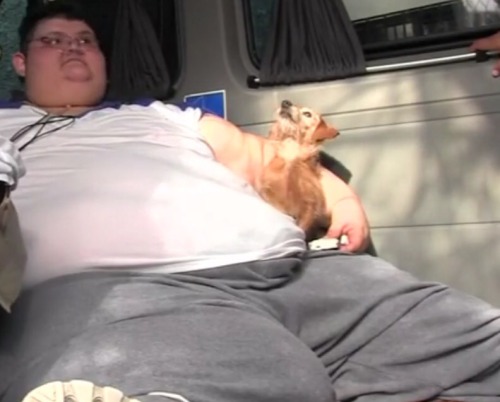 hedonisticfeedee:  1,100 pound man part 2. So young, so fat. Bedridden for 6 years and doctors are amazed he hasnâ€™t had a heart attack yet.  #whatastud