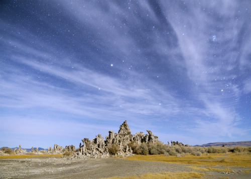 leahberman:astra; mono lake tufa state natural reserve, californiainstagram