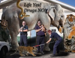 amykippi:  livejamie:  Anti-Drug Facebook photos from the Rolla,