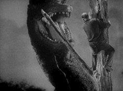 citystompers:  Hungry, hungry, herbivoresKing Kong (1933)