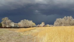 dolefuldream: Ominous clouds in the distance on a sunny day.