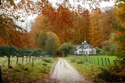 autumnleavesofredandgold:  The Netherlands