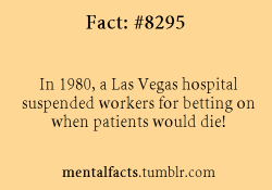 lasvegaslocally:  mentalfacts:  Fact  8295:  In 1980, a Las Vegas