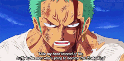 rofljay:  Dammit Zoro, so many feels. Like dis if u cry ever