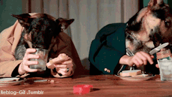 gif-guy:  http://gifini.com/ 