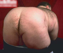 revengeofthebears:  revengeofthebears:  thebigbearcave:  tubbinlondon:  kybear2:  Such a sexy daddy  Gary is a god!  that first pic always makes me cum. it’s so perfect. the way his hairy back is apparent and the side/back of his head… the furry crease