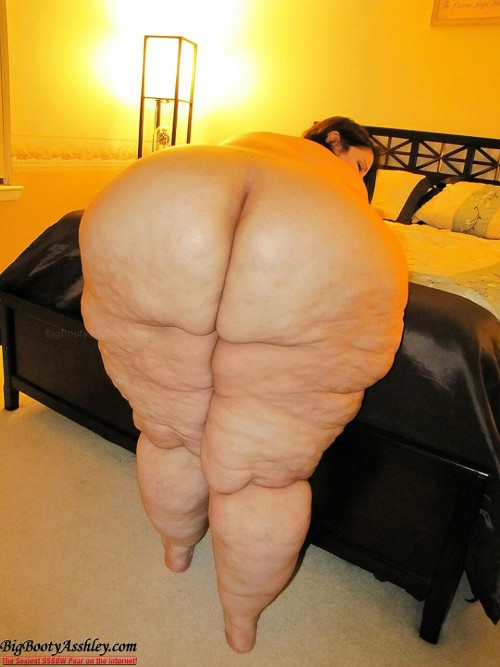 bbwbootycellulite:  bbwbootycellulite.tumblr.com   Big Butt Asshley cellulite show… Asshley aka Big Butt Asshley 			Measurements: (??-??-81) 			Bust: ? 			5'03" [1] 			 			450 [1] 			 			204 kg 			BMI: 79.7  /- 		