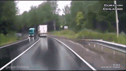 The Absolute Best GIFs
