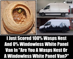 clickbaitrobot:  I Just Scored 100% Wasps Nest And 0% Windowless