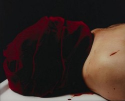 noctuo:The Morgue (Homicide), Andrés Serrano.