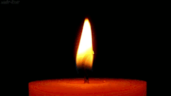 mrelisha26:   This candle burns for  SHENEQUE PROCTOR whom